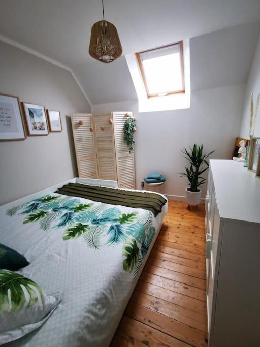 Guest House 60M2 Tout Confort Erquy Extérieur photo